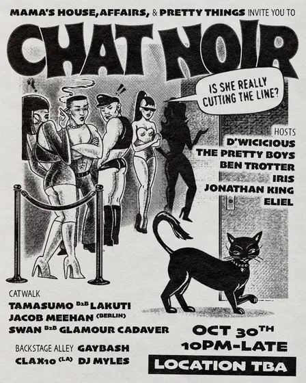 CHAT NOIR