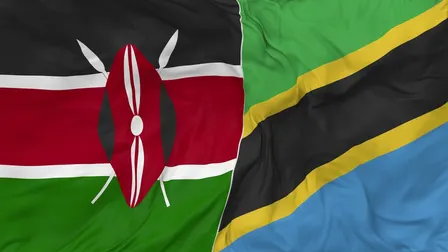 JAMHURI DAY DC: Kenya & Tanzania Independence!