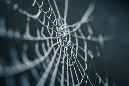 TIPSY TIPS: AFTER DARK — A Halloween Press-On Experience