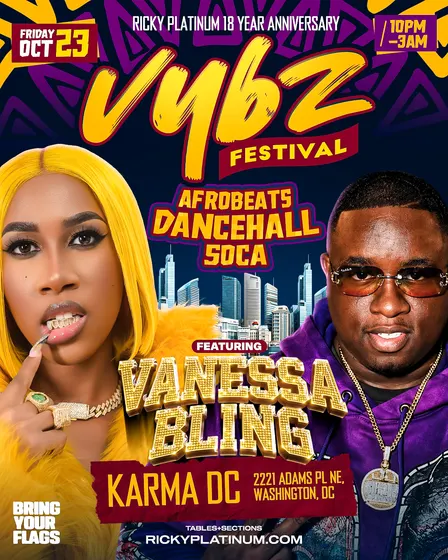 VYBZ FESTIVAL DC (AFROBEATS x DANCEHALL x SOCA)