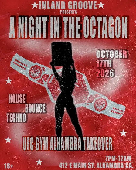 A Night In The Octagon