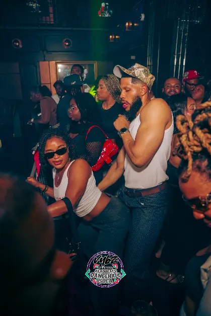VYBZ FESTIVAL ORLANDO (AFROBEATS - DANCEHALL - SOCA )