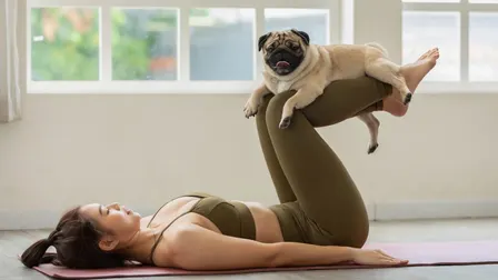Small Dog Yoga