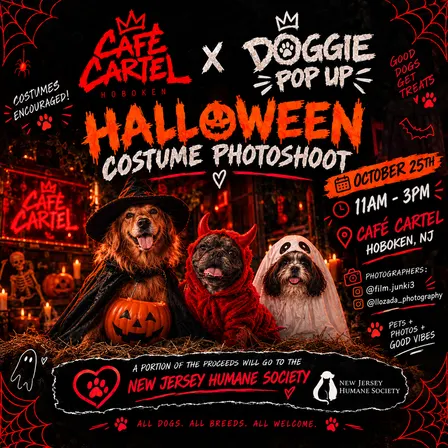 Doggie Halloween Photo Shoot