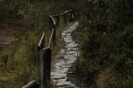 Camino de Edmonton 2026 Hike #9
