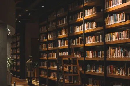 The Lion, the Witch, and the Wardrobe
