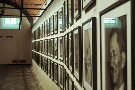 Discovering King Tuts Tomb