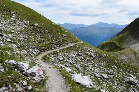 Wanderung mit Ein- und Ausblicken im Main-Taunus-Kreis