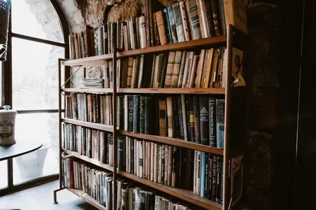 The Lion, the Witch, and the Wardrobe