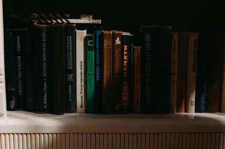 The Lion, the Witch, and the Wardrobe