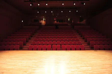 Ririe-Woodbury Dance Company