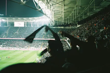 Botafogo vs Bahia