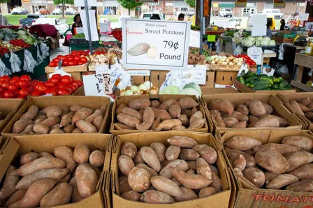outdoor Mini Market Series at Glen Drummond Farm