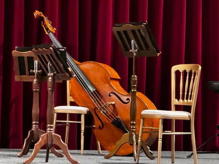 The Music Man