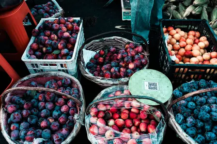 Queen Victoria Market | Open Hours