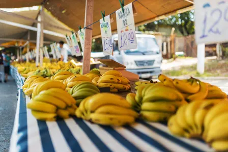 Secondhand Vintage Pop-Up Markets Ontario