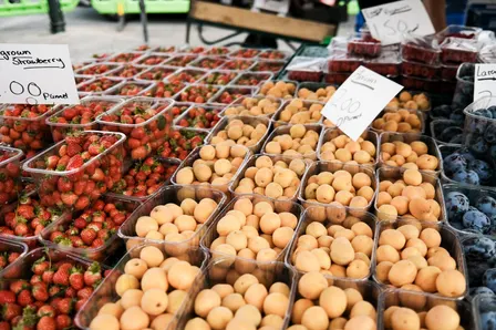 Perth Airport - November Market