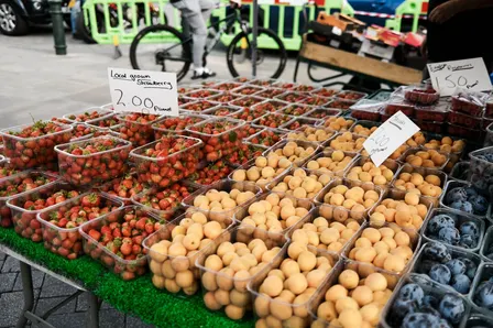 Grassimesse Leipzig