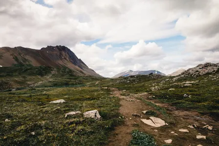 Wild Path Outdoor Festival