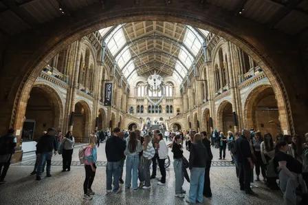 Discovering King Tuts Tomb