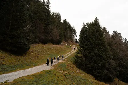 Wind Walkers