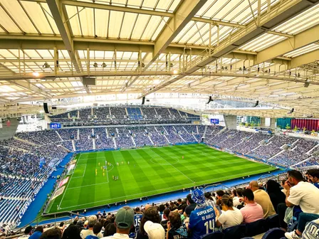 Hamburger SV vs TSG 1899 Hoffenheim