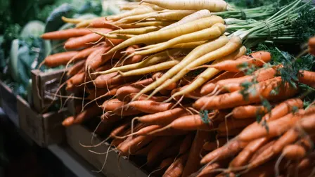 Down to Earth Market - November 2026