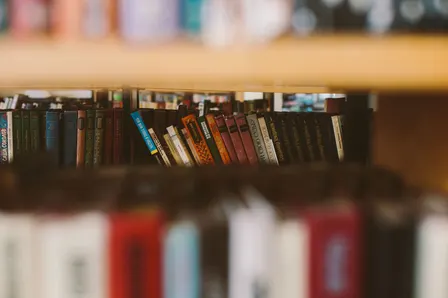 Buchpräsentation Anna Baar: „Amseln“ und Caro Reichl: „Das dreiste Schweigen meines Kühlschranks“