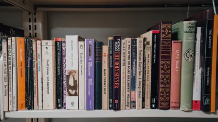 The Lion, the Witch, and the Wardrobe
