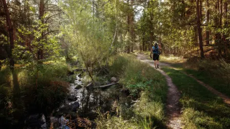 Canmore neighbourhoods, waterfalls, Bow River & beyond trails, Policeman’s Creek Café Loop
