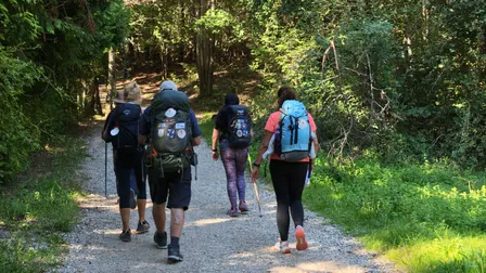 Calgary Walk: Ogden, Beaverdam Flats, Lynnwood views, SE