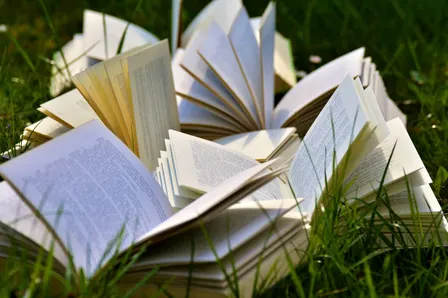 The Lion, the Witch, and the Wardrobe
