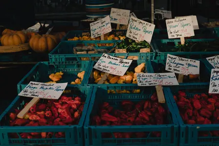 Gelsen-Trödel (Trödelmarkt an der Trabrennbahn GE)