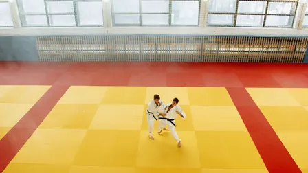 Ryukyukan November Tournament
