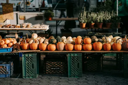 Queen Victoria Market | Open Hours