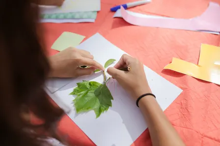 Taller 'Aquarel·la botànica experimental, aprofundiment'