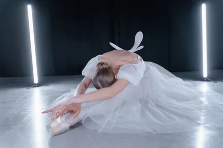 World Ballet Company