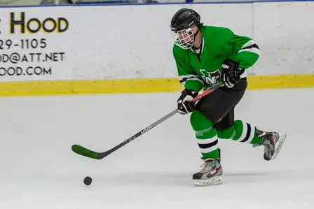 Dallas Stars at St. Louis Blues