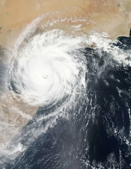 From Risk Maps to Resilience Investments: Making Climate AI Decision-Ready