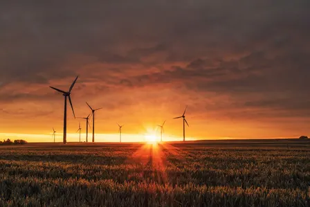 Powering the AI Build-Out: India's Data Centre Energy Demand Surge