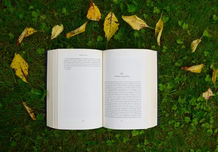 Dramaless Book Club in Friedrichshain