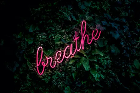 Breathwork — BONUS before the Networking & Mingle