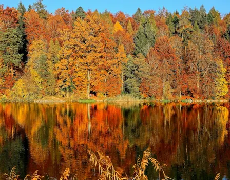 October SCGIS Rock Creek Park Hike