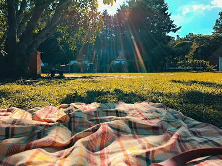 Walk & Picnic in the park