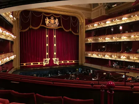 David - The Musical