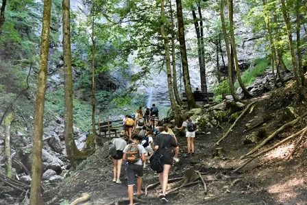 Into the forest: Let's explore Oslo's "marka" together