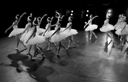 Second City Mainstage Revue