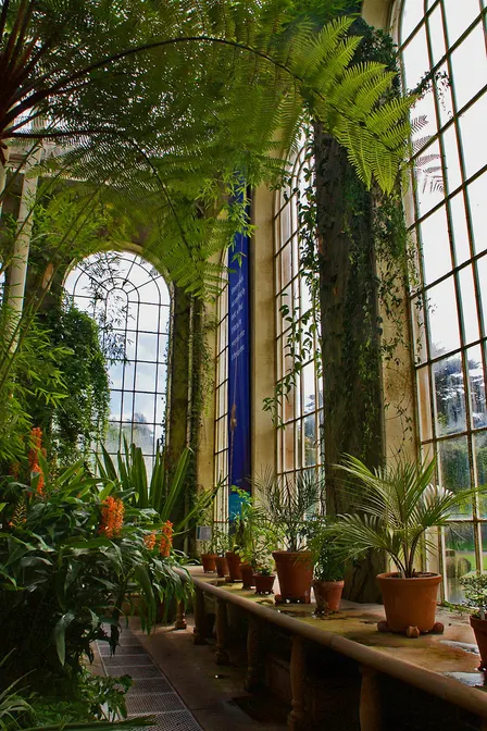 Botanic Sanctuary Lunch Presentation