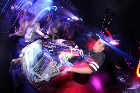 Jungle Cakes Guildford - Thirty3Hz