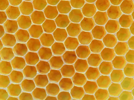 Nonprofit Hive ATX - locals networking event